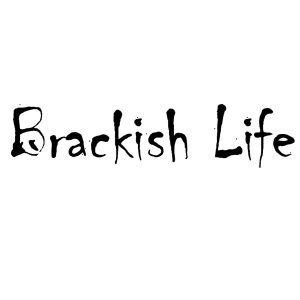 BrackishLife-SQ